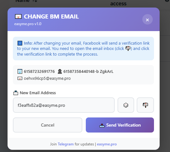BM Email Change – Send Verification email